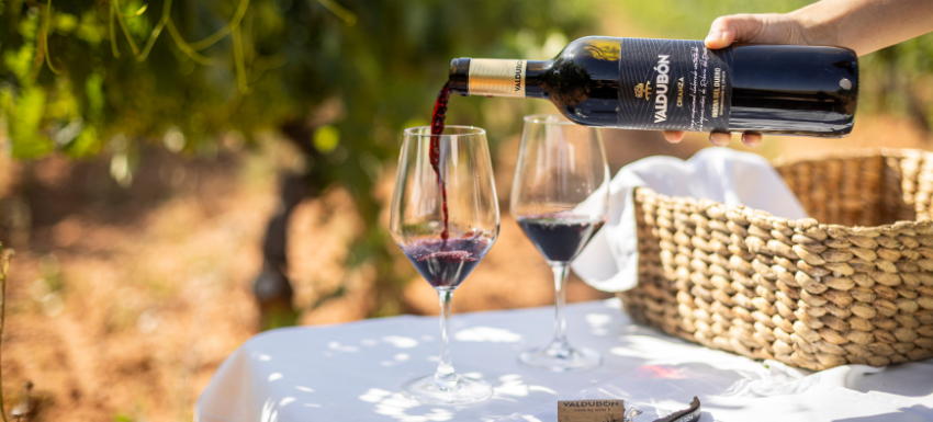 Visitas_Valdubón Bodega CVNE