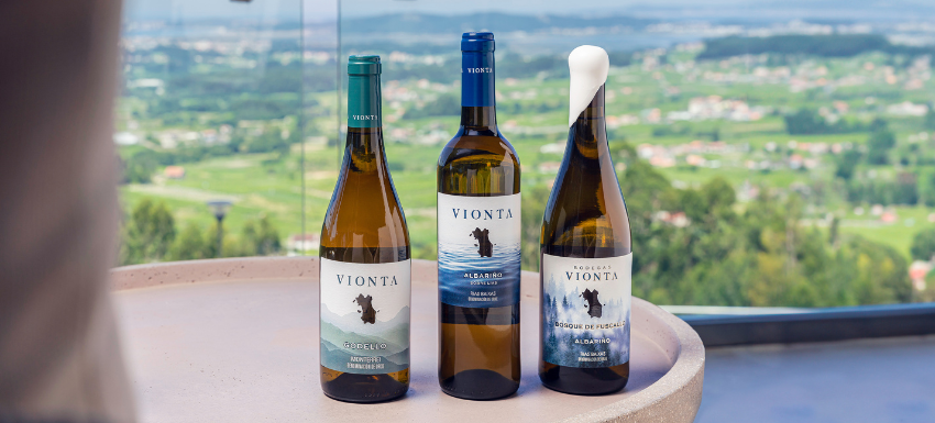 Visitas_Vionta Viñedos del Contino